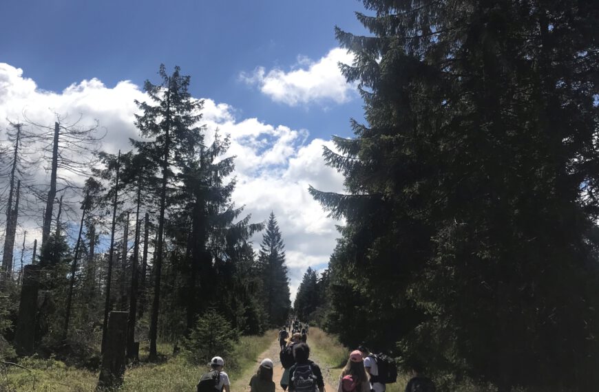 Hölty-Gemeinschaft spendet an den Nationalpark Harz