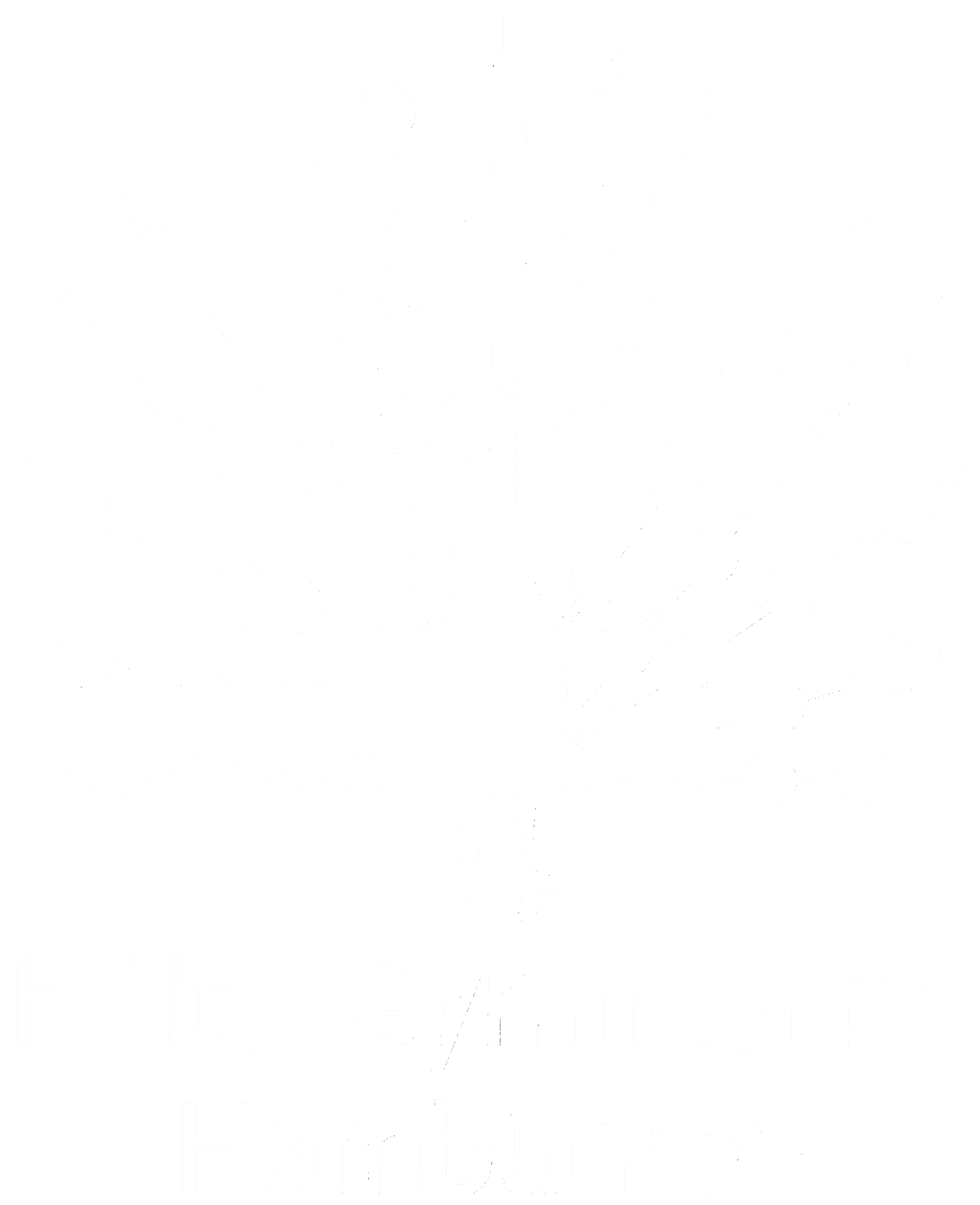 Hölty-Gymnasium Hambühren