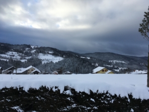Die Umgebung von Le Tholy im Winter